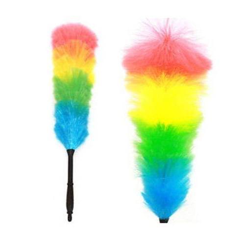 FEATHER DUSTER